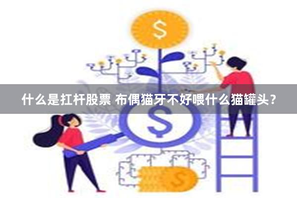 什么是扛杆股票 布偶猫牙不好喂什么猫罐头?