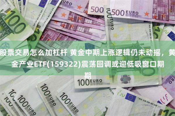 股票交易怎么加杠杆 黄金中期上涨逻辑仍未动摇，黄金产业ETF(159322)震荡回调或迎低吸窗口期