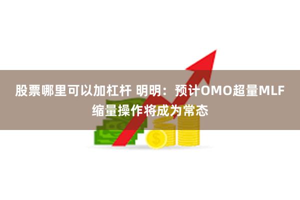 股票哪里可以加杠杆 明明：预计OMO超量MLF缩量操作将成为常态
