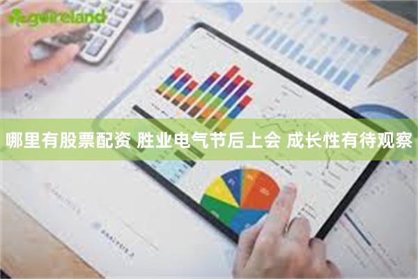 哪里有股票配资 胜业电气节后上会 成长性有待观察
