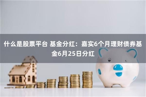 什么是股票平台 基金分红：嘉实6个月理财债券基金6月25日分红
