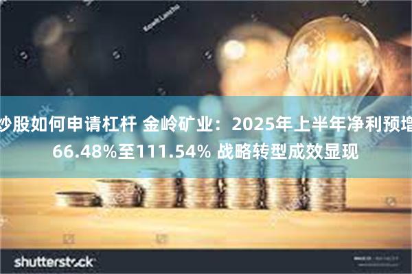 炒股如何申请杠杆 金岭矿业：2025年上半年净利预增66.48%至111.54% 战略转型成效显现