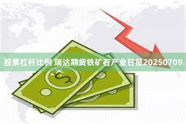 股票杠杆比例 瑞达期货铁矿石产业日报20250709
