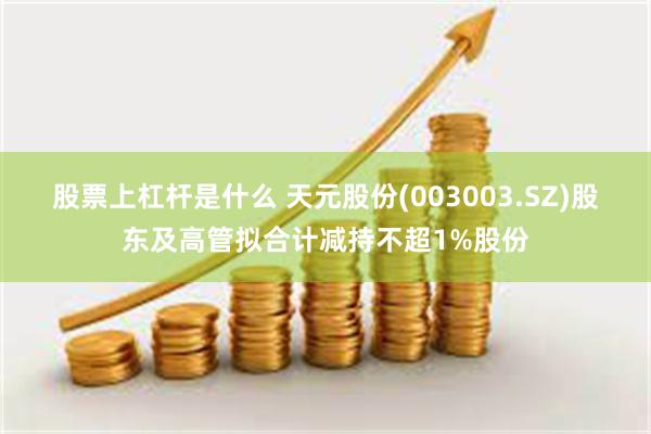 股票上杠杆是什么 天元股份(003003.SZ)股东及高管拟合计减持不超1%股份