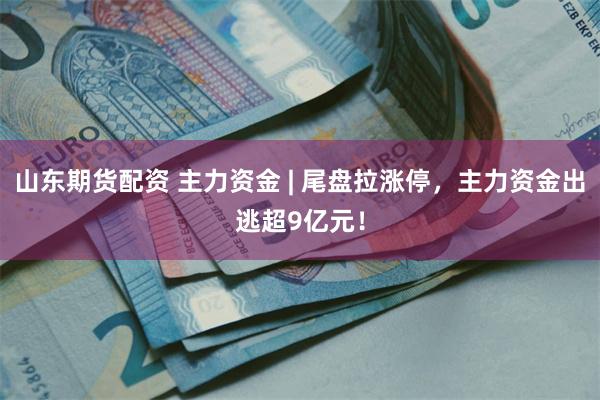 山东期货配资 主力资金 | 尾盘拉涨停，主力资金出逃超9亿元！
